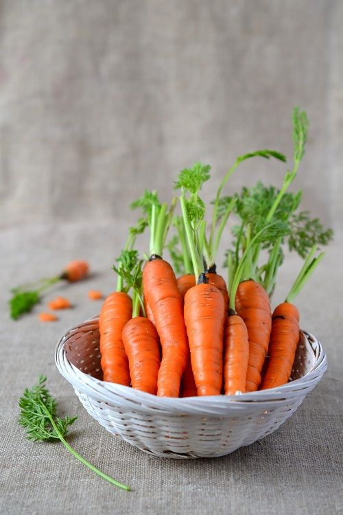 Carrot